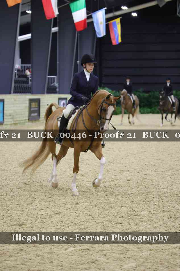 Proof 21_BUCK_00446