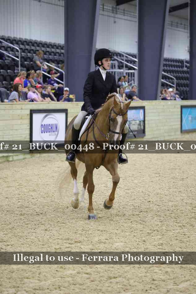 Proof 21_BUCK_00448