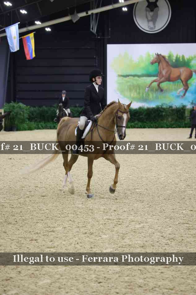 Proof 21_BUCK_00453