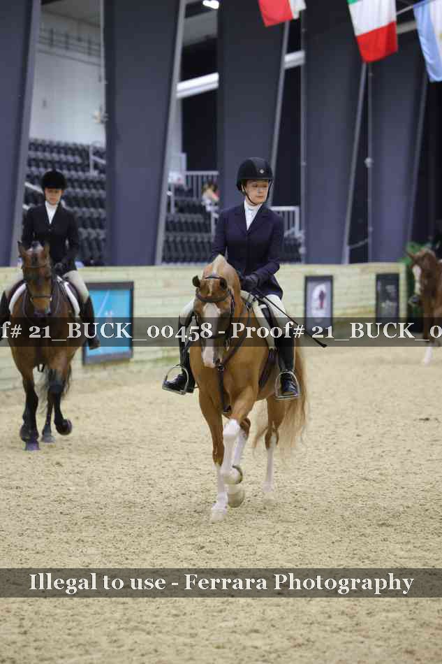 Proof 21_BUCK_00458