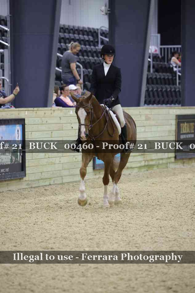 Proof 21_BUCK_00460