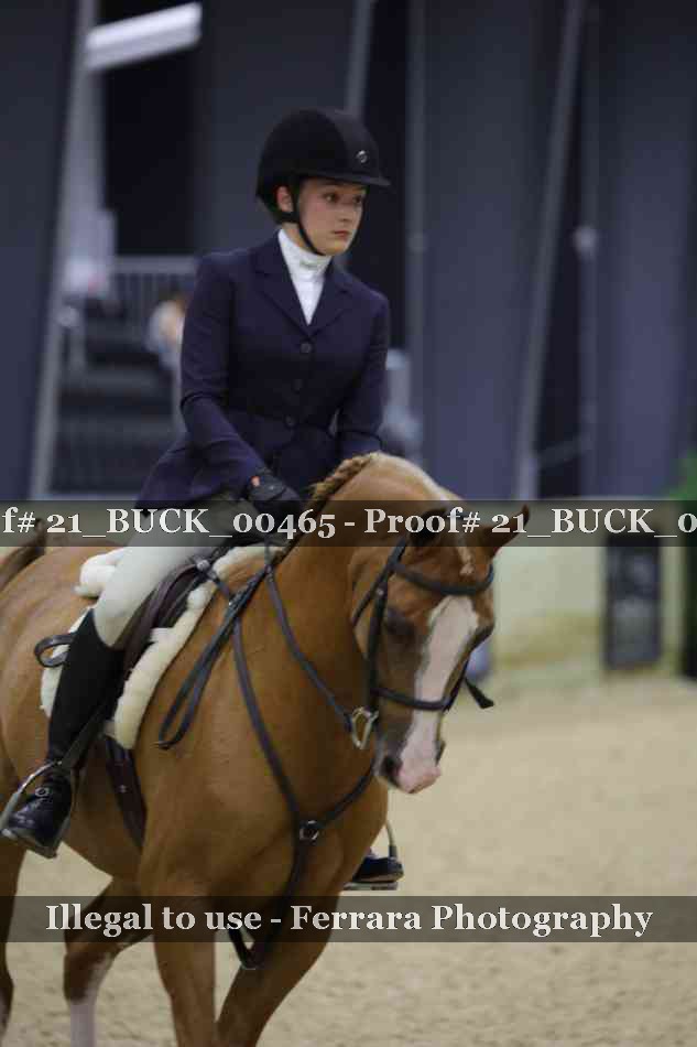 Proof 21_BUCK_00465