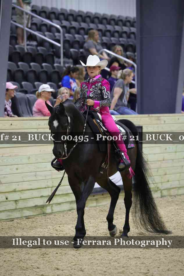 Proof 21_BUCK_00495