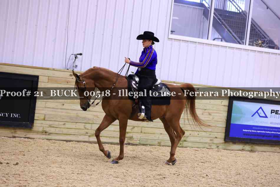 Proof 21_BUCK_00518