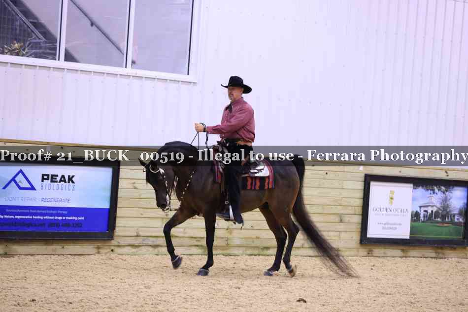 Proof 21_BUCK_00519