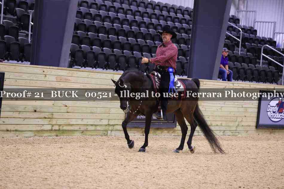 Proof 21_BUCK_00521