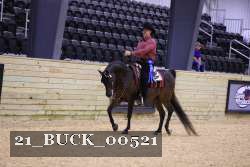 21_BUCK_00521 proof