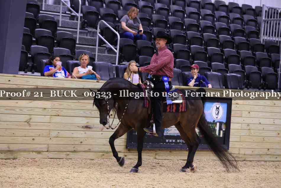 Proof 21_BUCK_00523