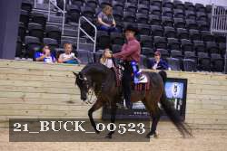 21_BUCK_00523 proof