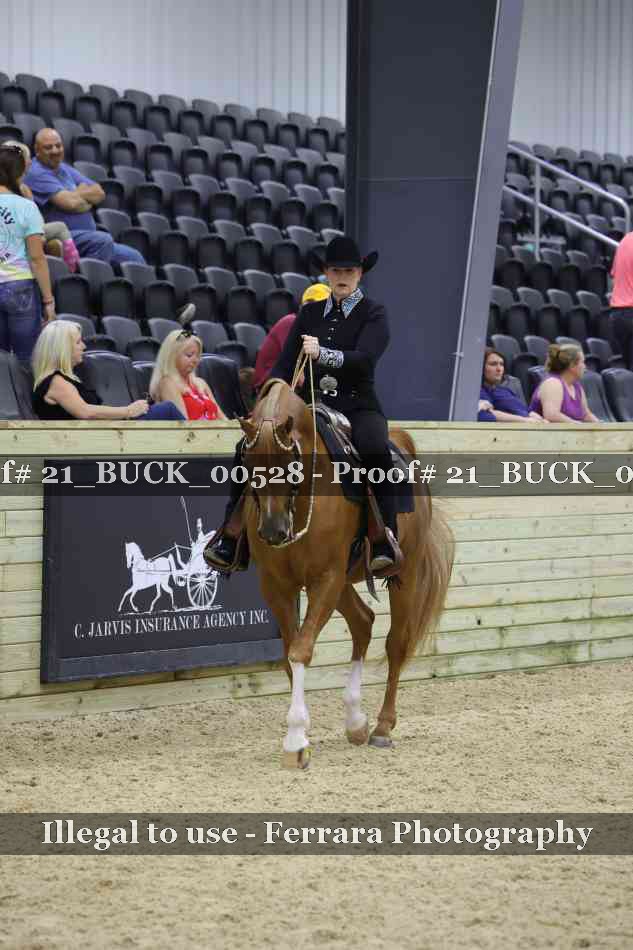 Proof 21_BUCK_00528