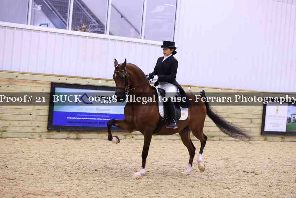 Proof 21_BUCK_00538