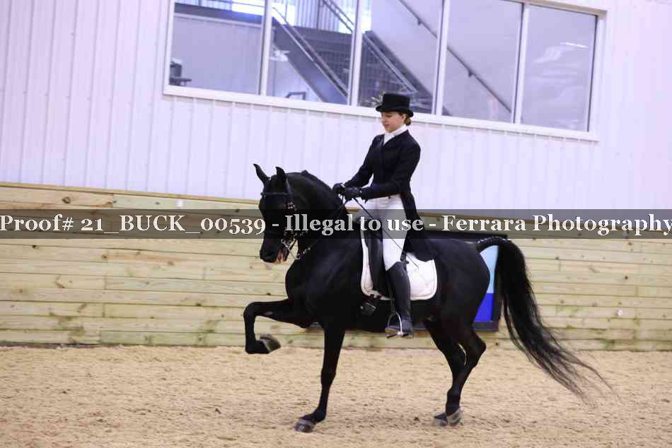 Proof 21_BUCK_00539