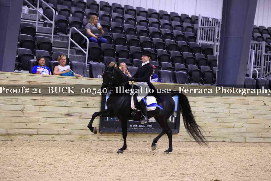 Proof 21_BUCK_00540
