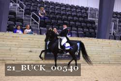 21_BUCK_00540 proof