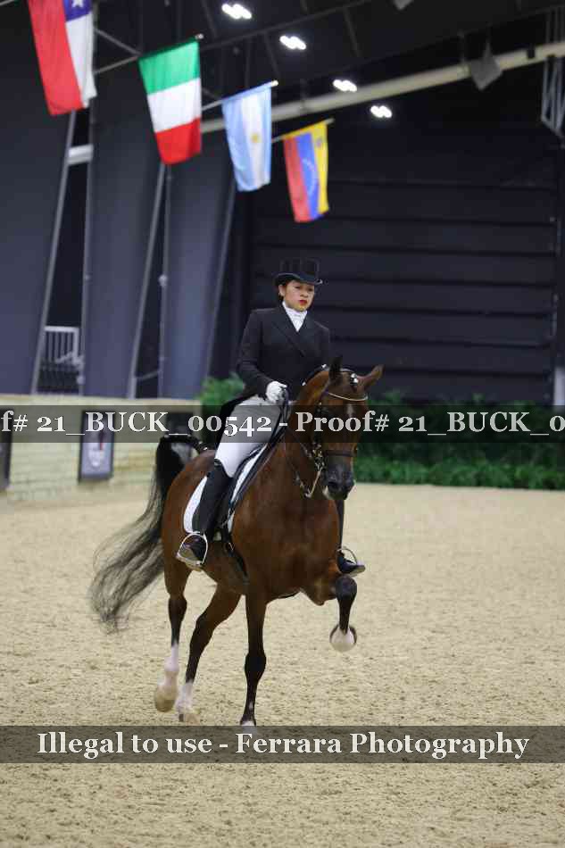 Proof 21_BUCK_00542
