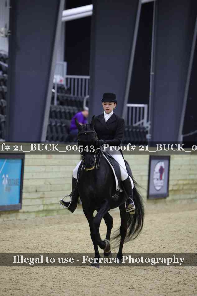 Proof 21_BUCK_00543