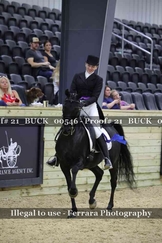 Proof 21_BUCK_00546