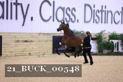 21_BUCK_00548 proof