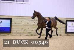 21_BUCK_00549 proof