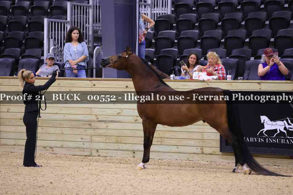 Proof 21_BUCK_00552