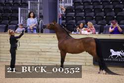 21_BUCK_00552 proof