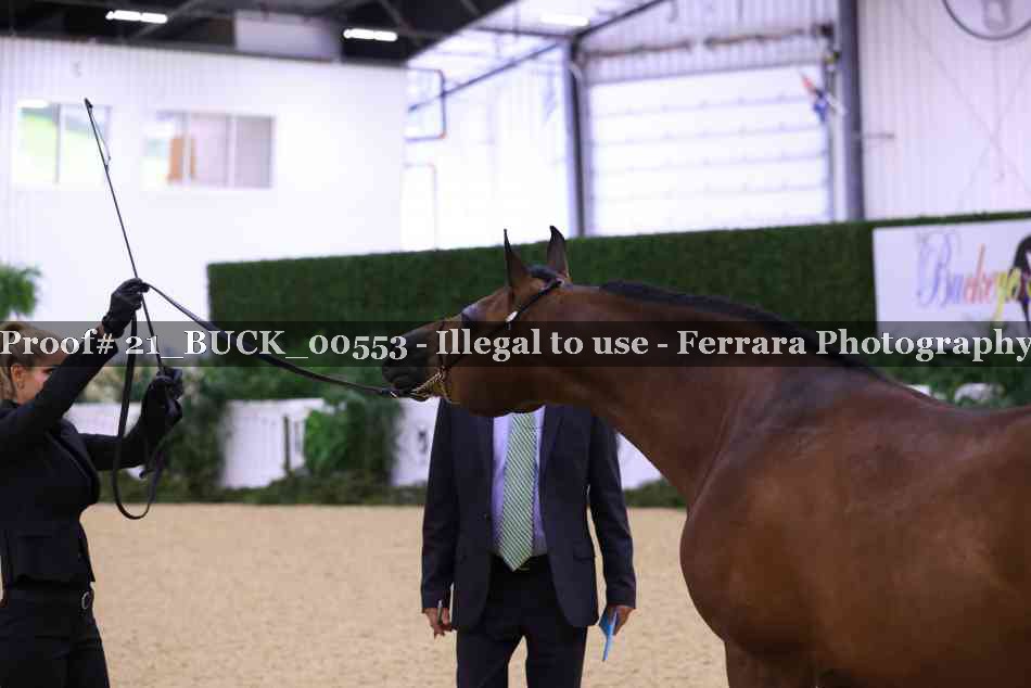 Proof 21_BUCK_00553