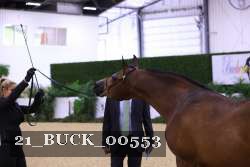 21_BUCK_00553 proof