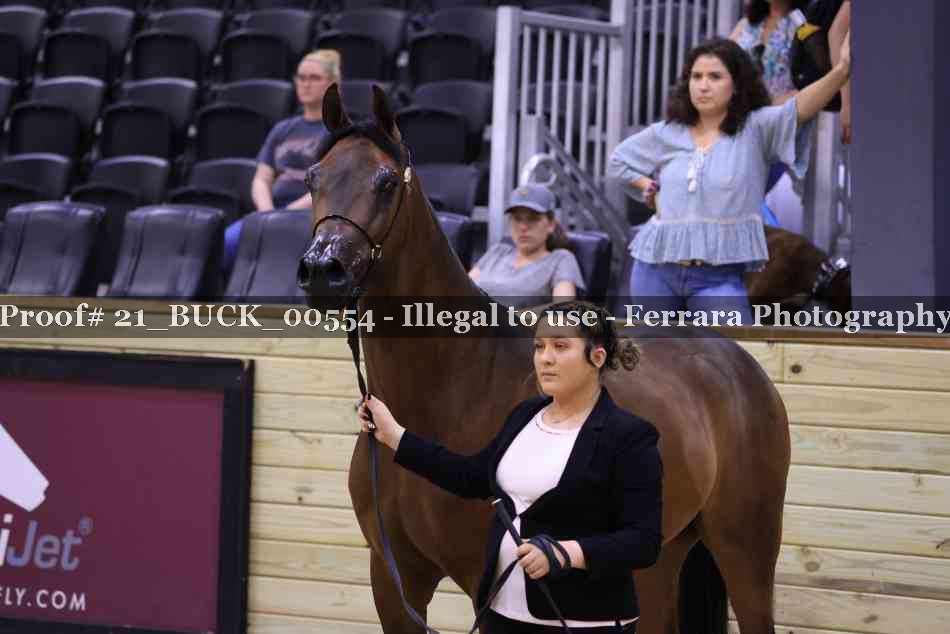 Proof 21_BUCK_00554