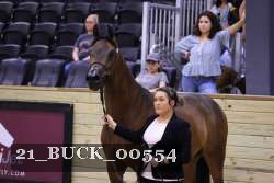 21_BUCK_00554 proof