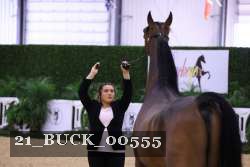 21_BUCK_00555 proof