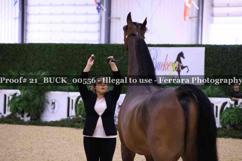 Proof 21_BUCK_00556
