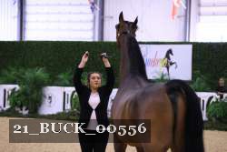21_BUCK_00556 proof