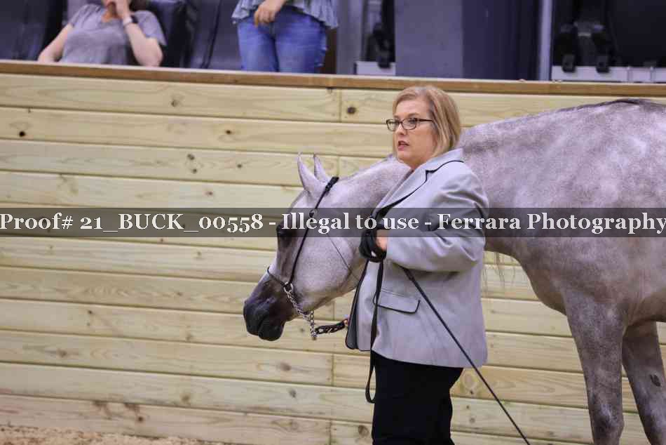 Proof 21_BUCK_00558