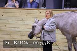 21_BUCK_00558 proof
