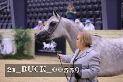 21_BUCK_00559 proof