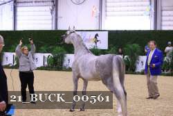 21_BUCK_00561 proof
