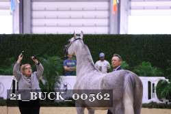 21_BUCK_00562 proof