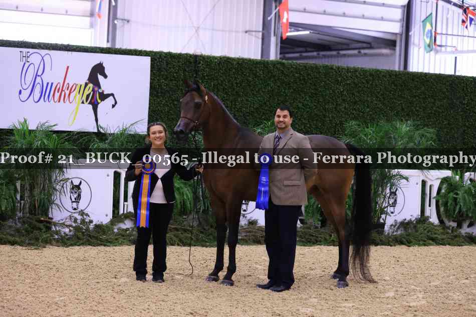 Proof 21_BUCK_00565