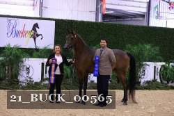 21_BUCK_00565 proof