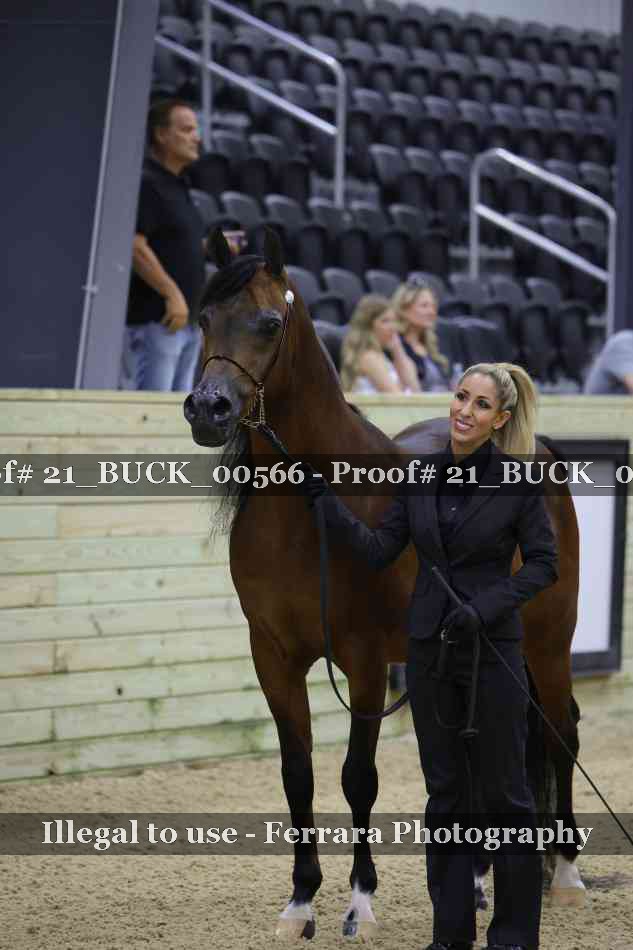 Proof 21_BUCK_00566