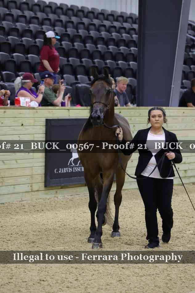 Proof 21_BUCK_00567