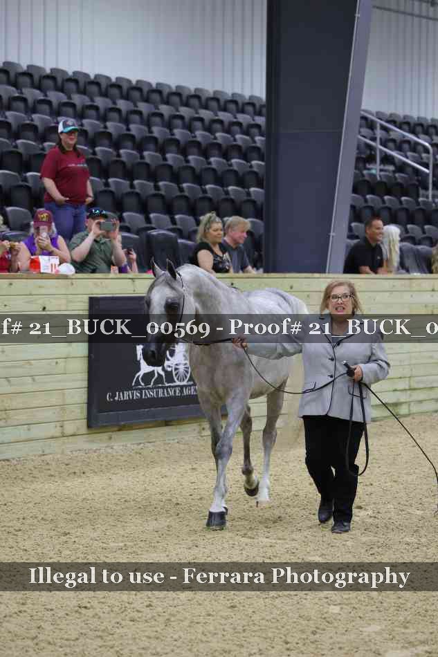 Proof 21_BUCK_00569