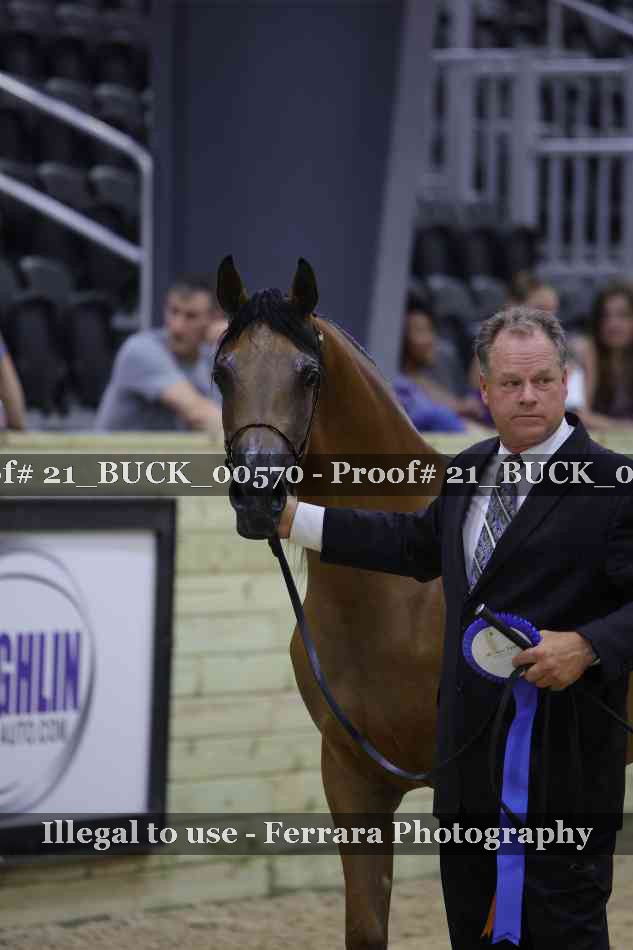 Proof 21_BUCK_00570
