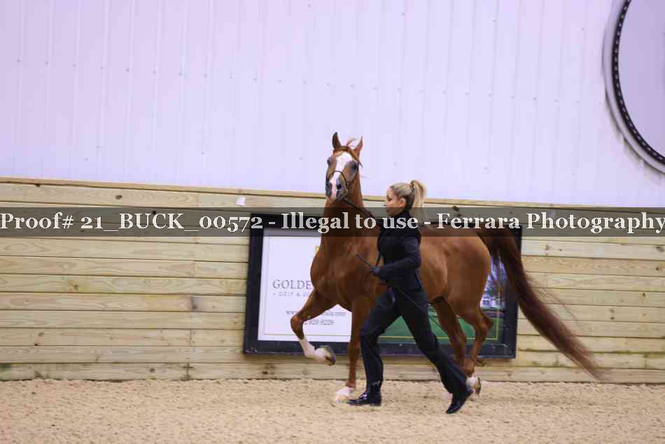 Proof 21_BUCK_00572