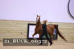21_BUCK_00572 proof