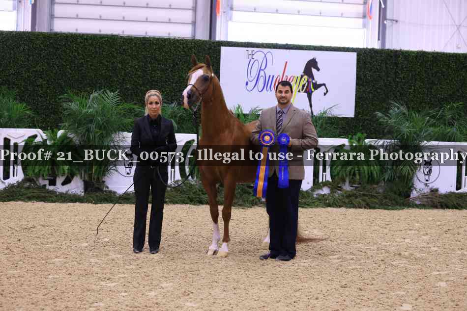 Proof 21_BUCK_00573