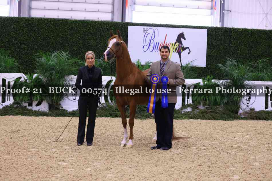 Proof 21_BUCK_00574