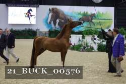 21_BUCK_00576 proof