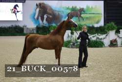 21_BUCK_00578 proof