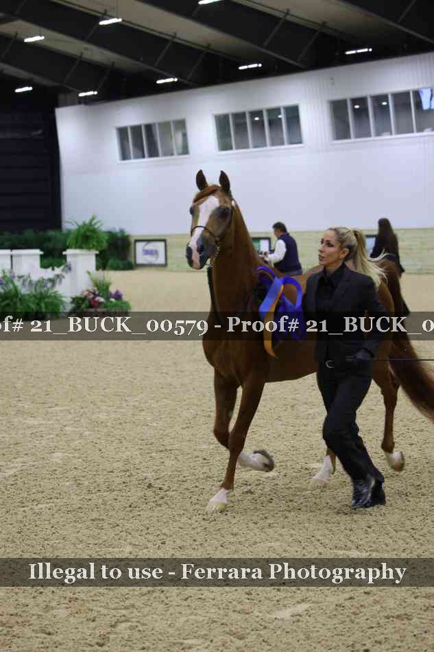Proof 21_BUCK_00579
